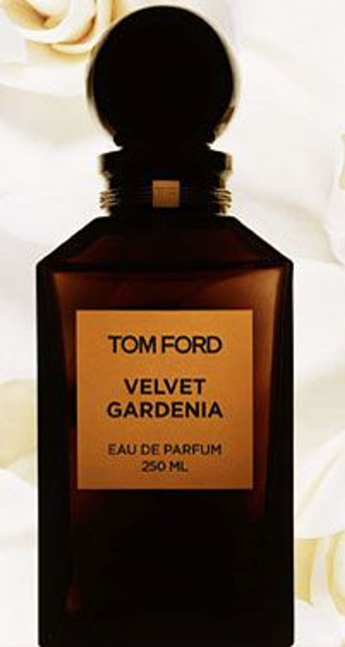 Velvet Gardenia