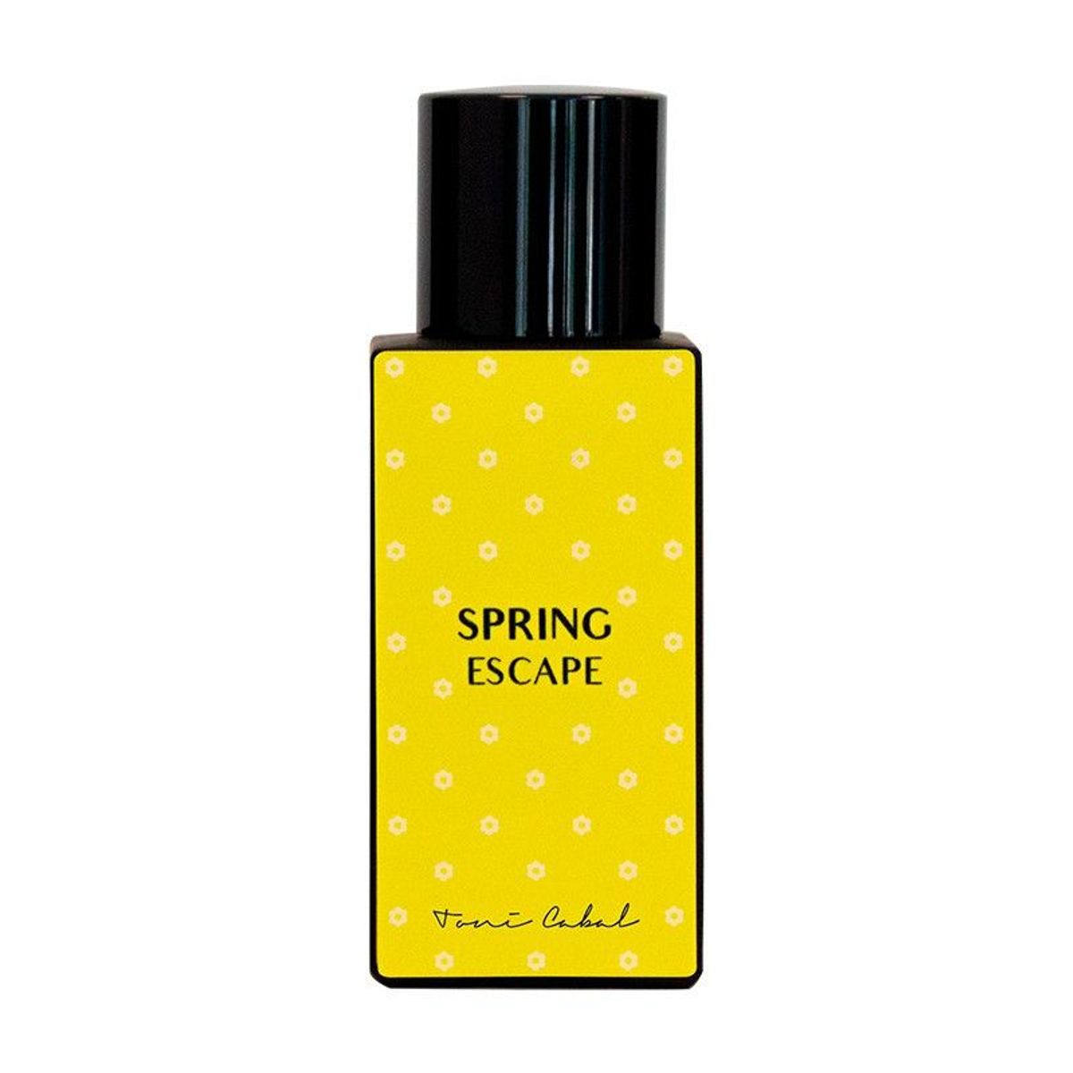 SPRING ESCAPE
