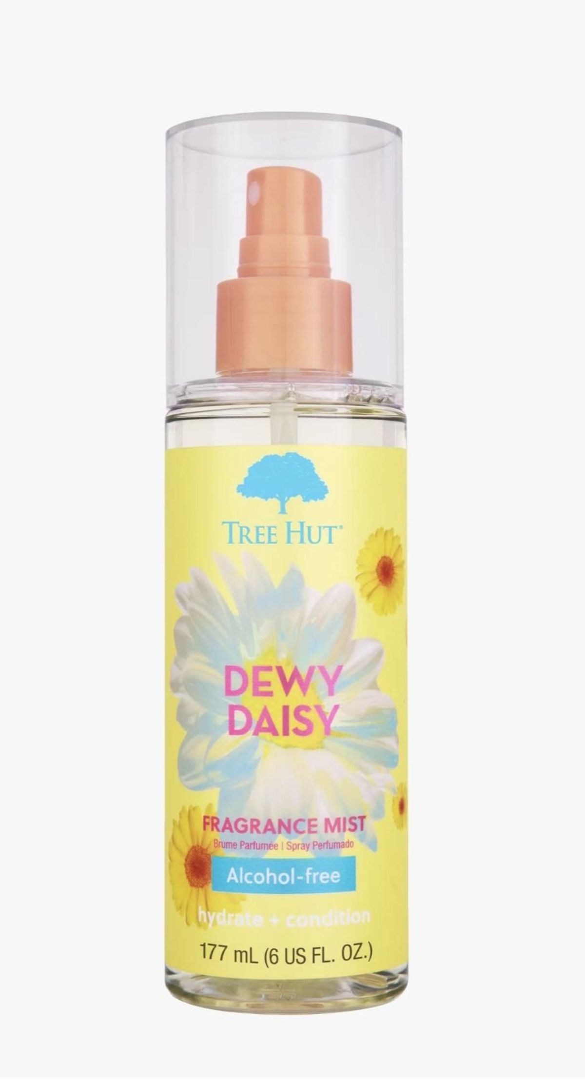 Dewy Daisy