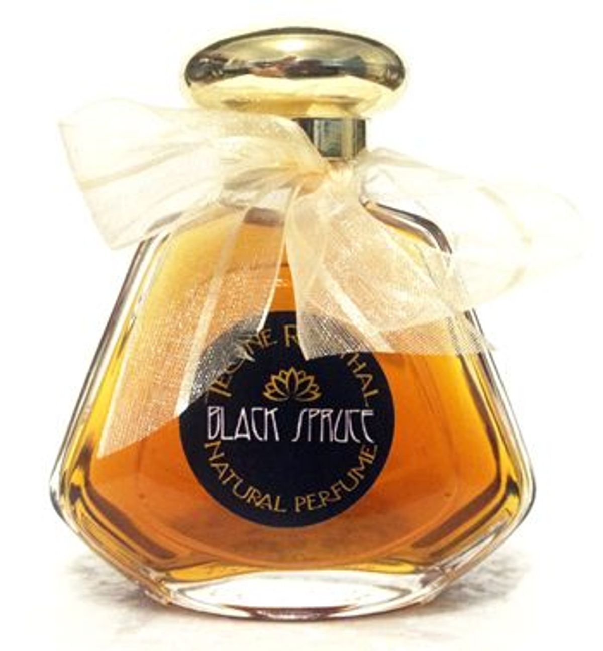 Black Spruce