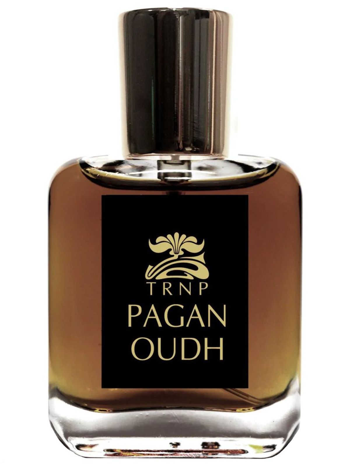 Pagan Oudh