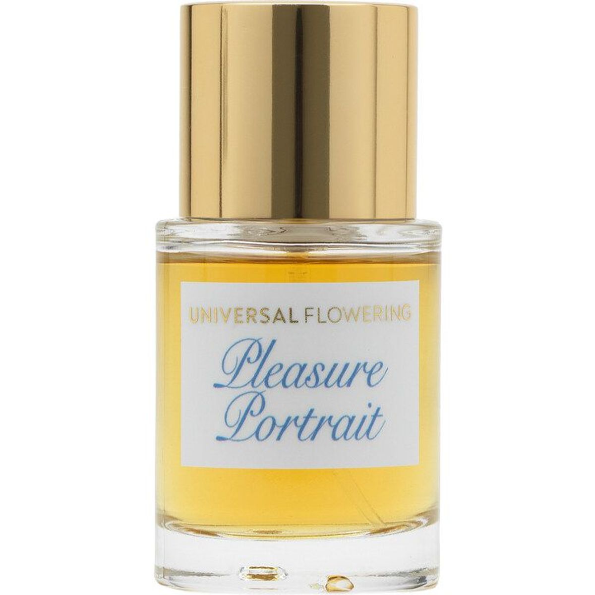 Pleasure Portrait