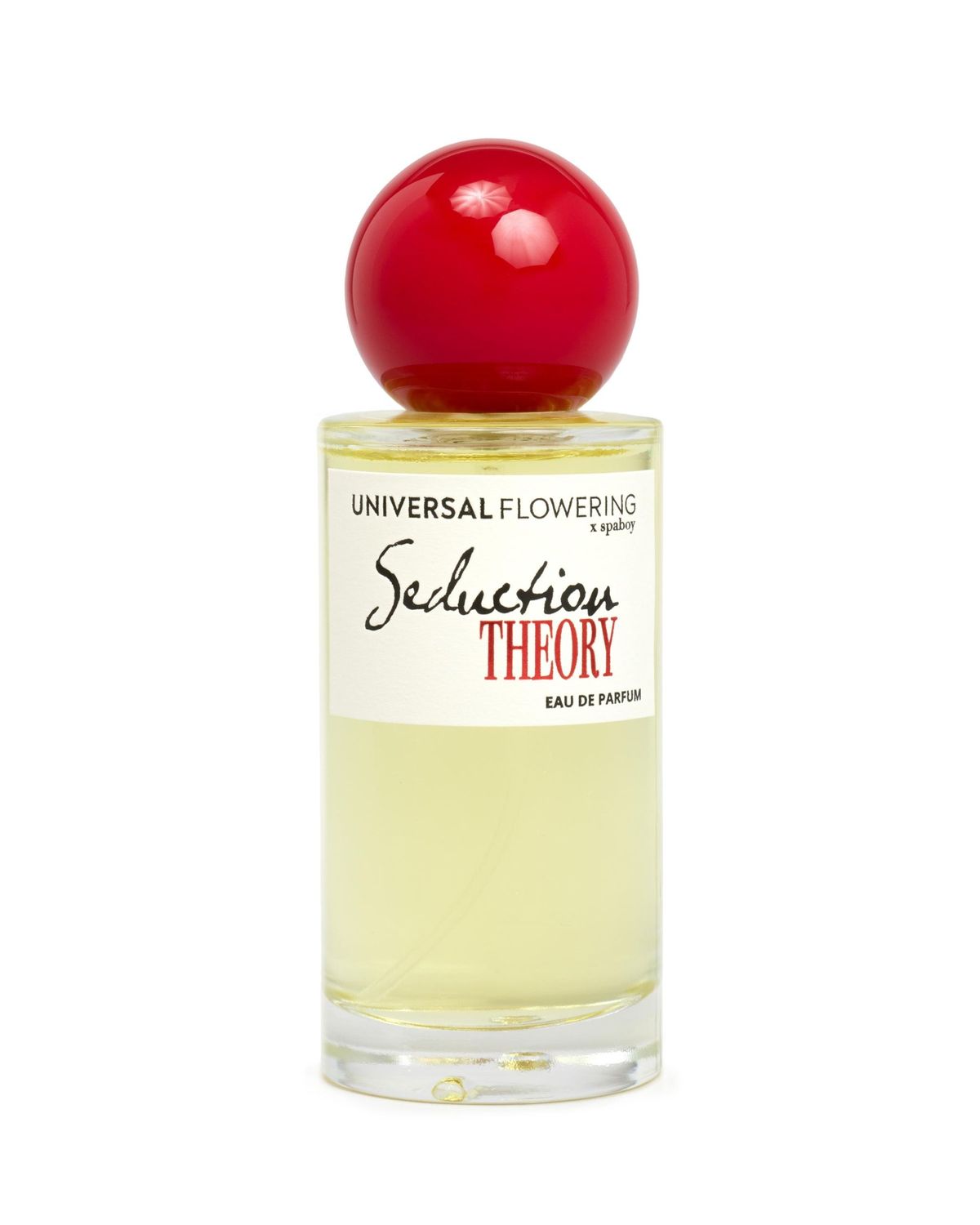 Seduction Theory