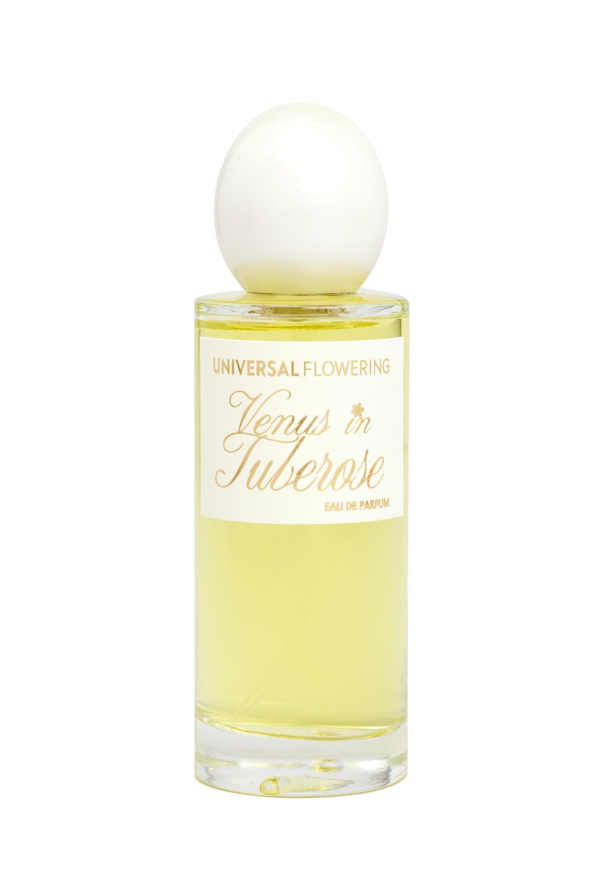 Venus in Tuberose