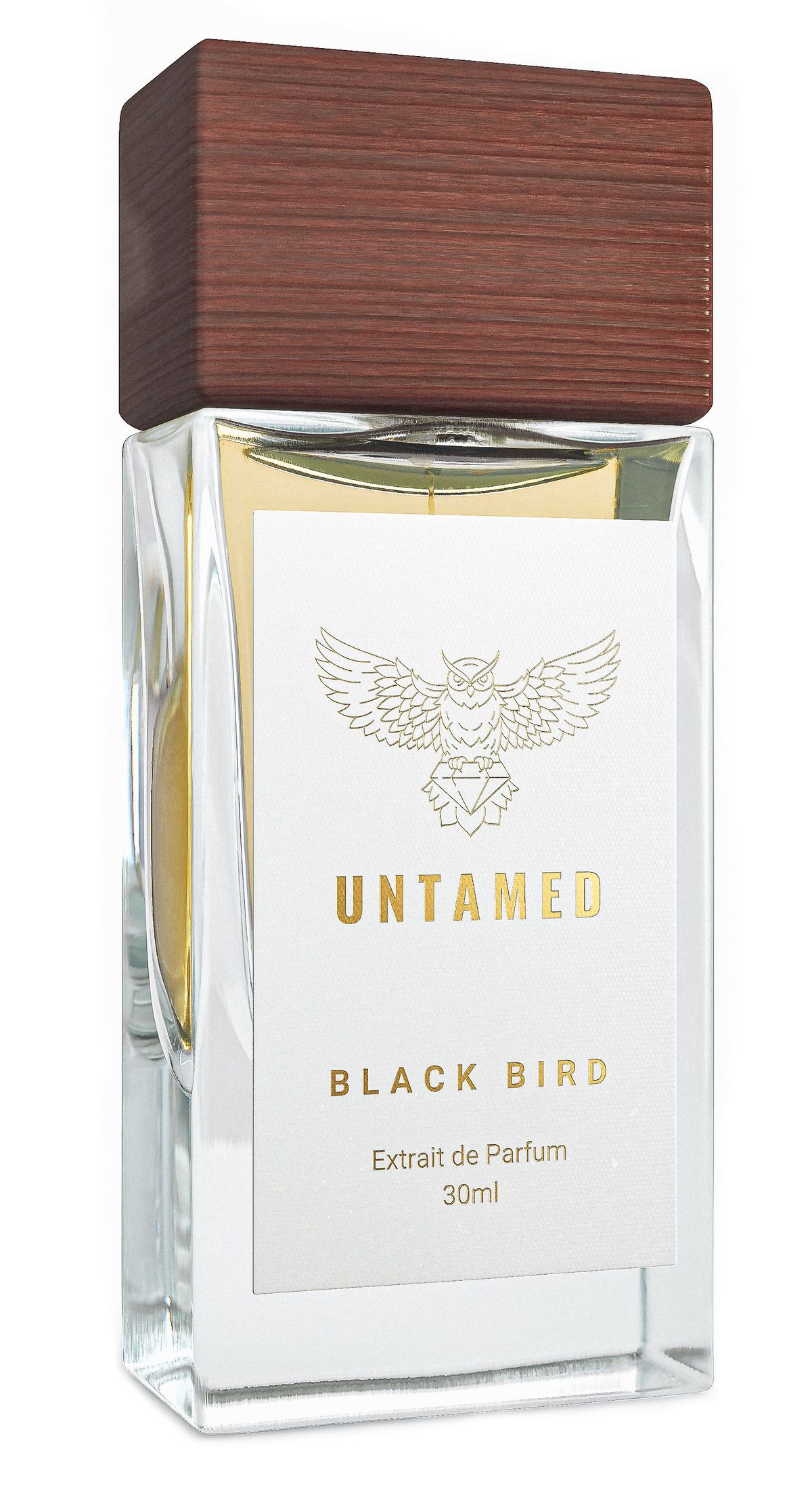 Black Bird