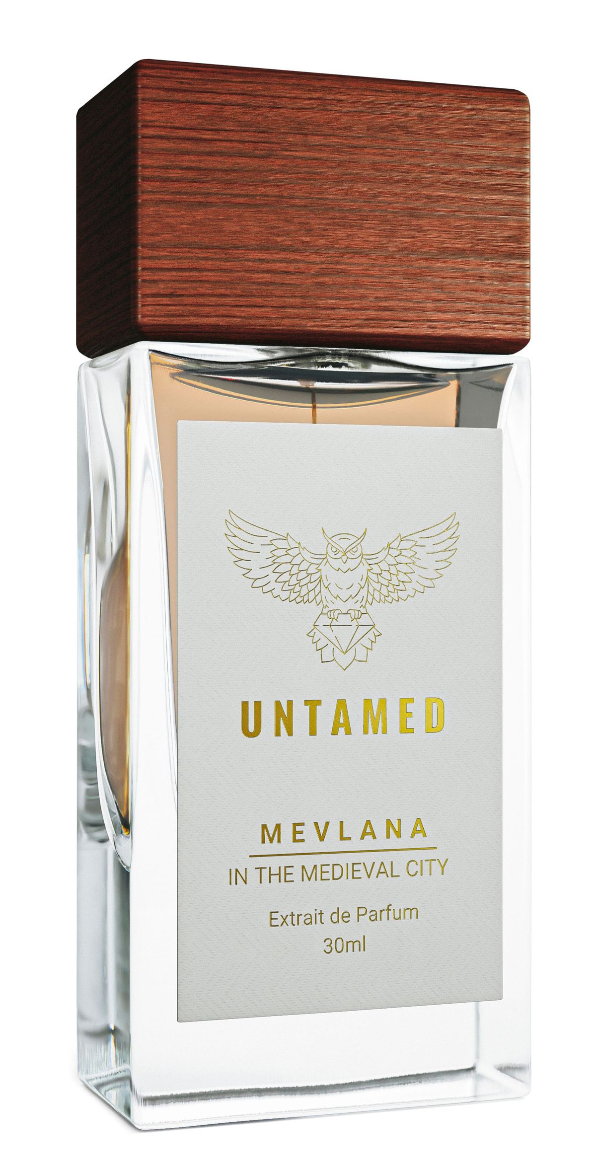 Mevlana - In The Medieval City