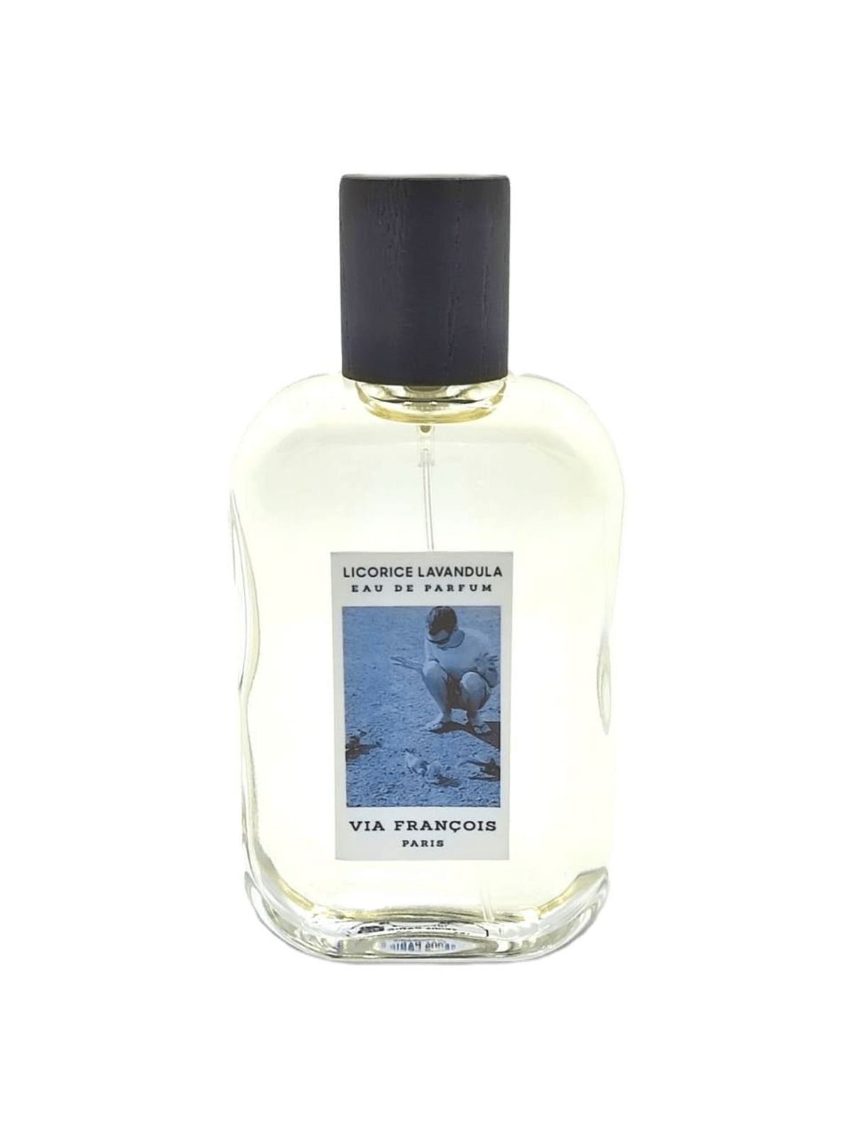 Licorice Lavandula