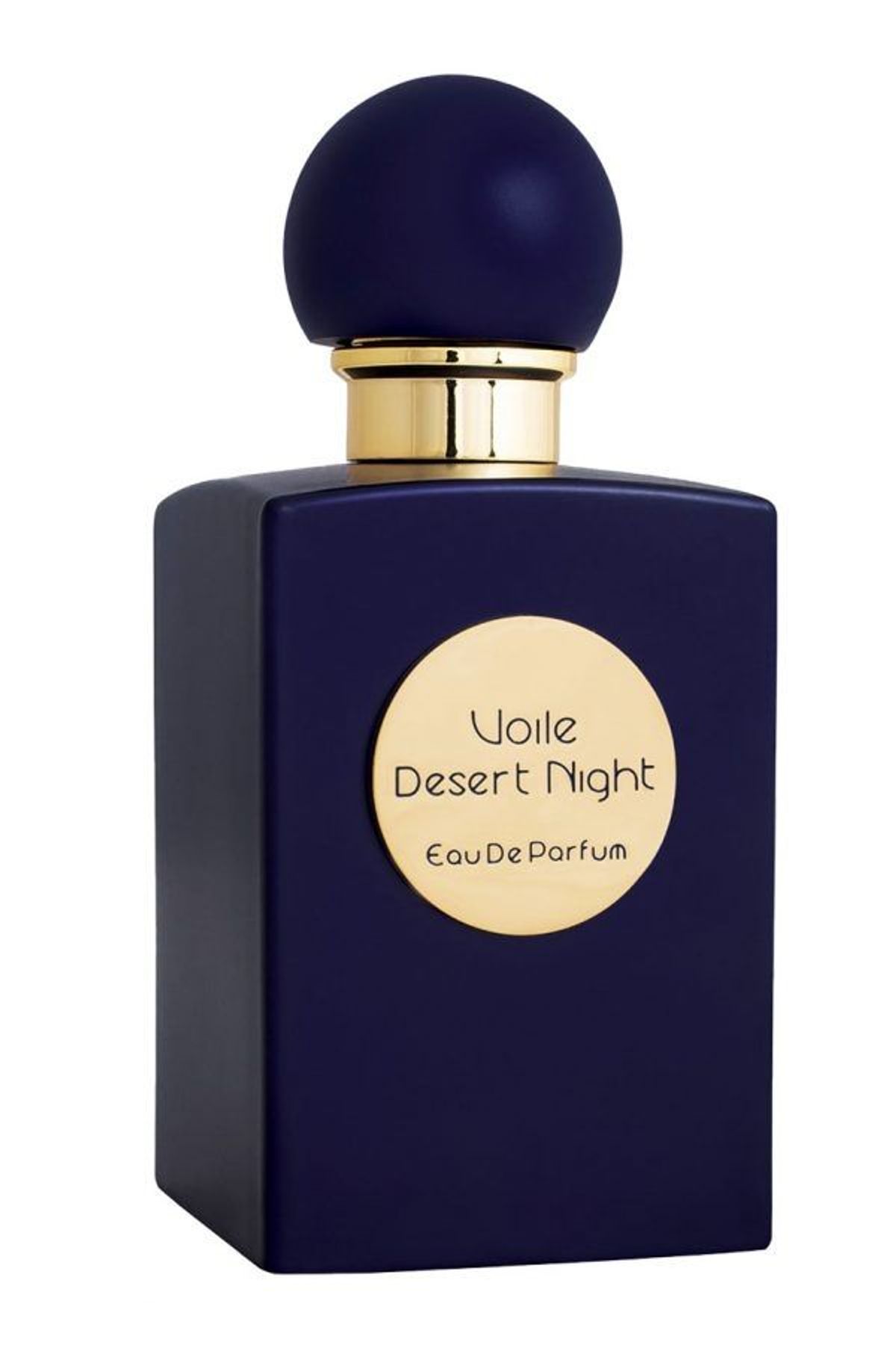 Desert Night