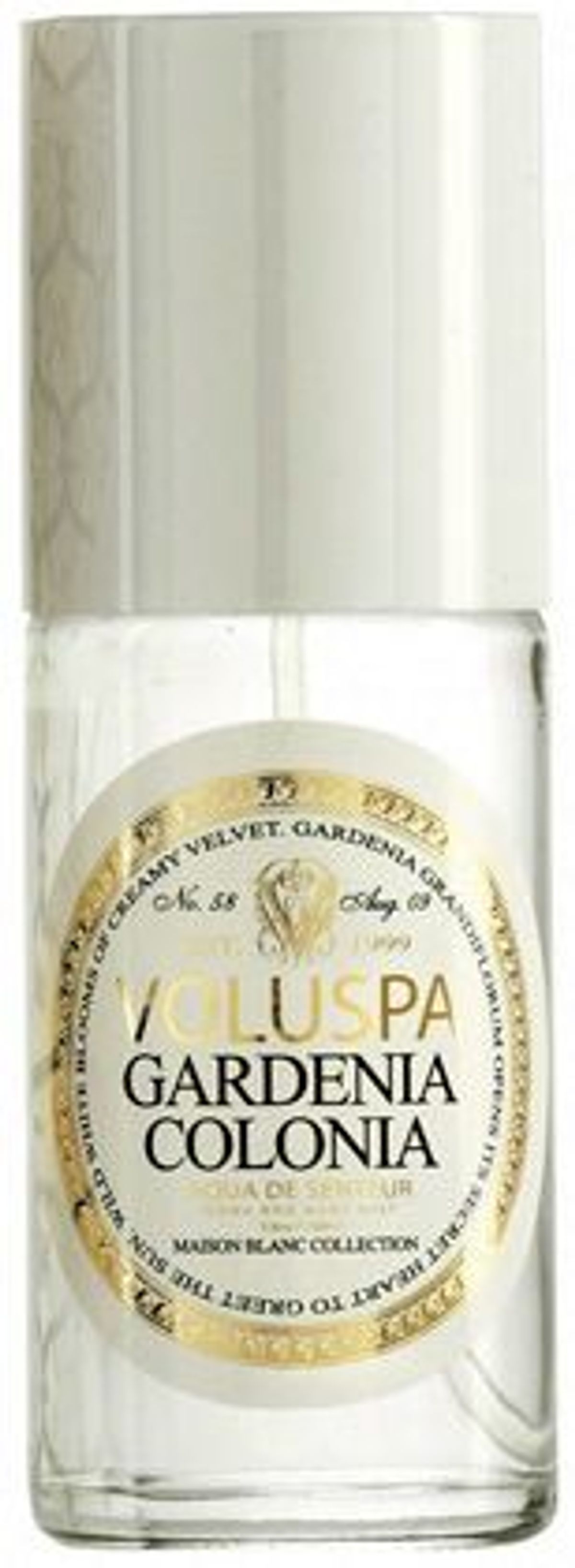 Gardenia Colonia