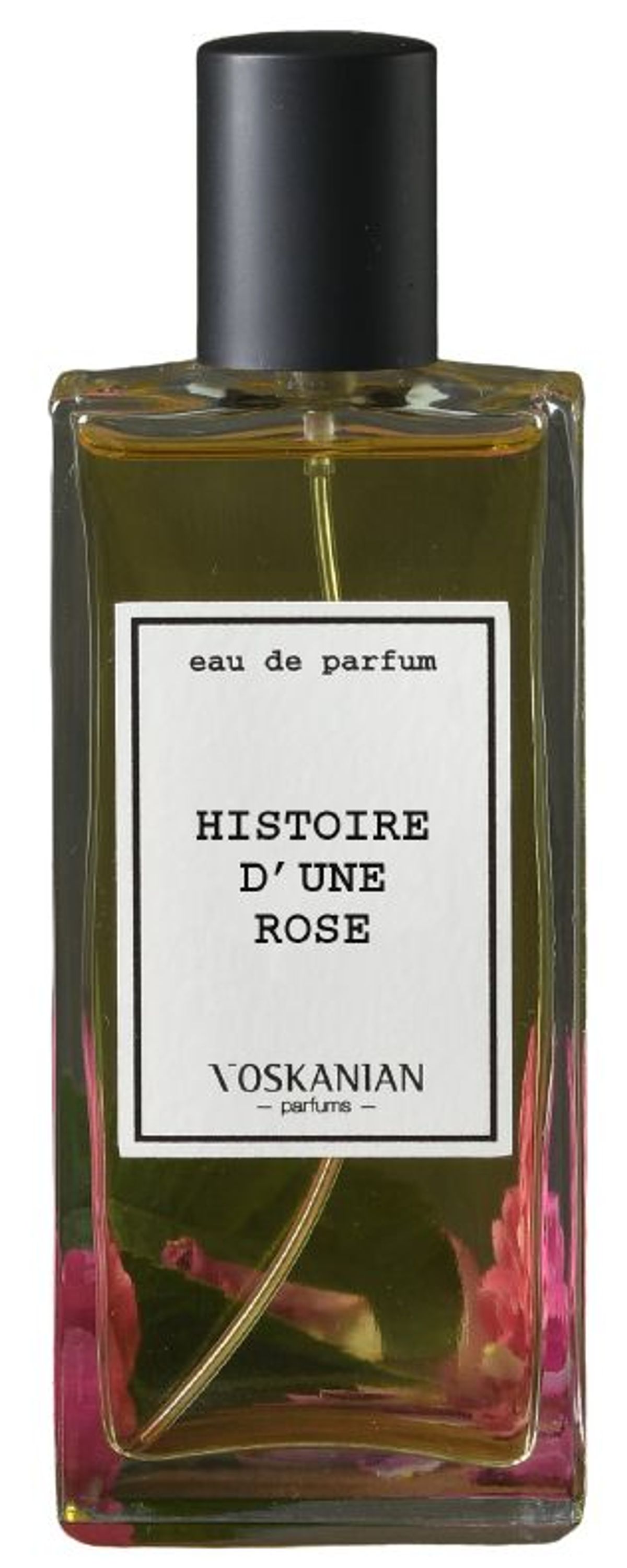 Histoire d'une Rose