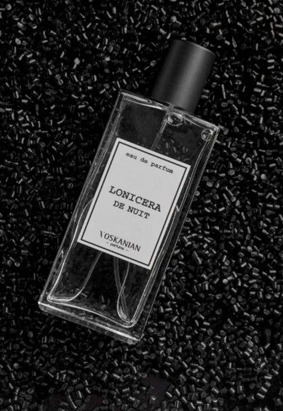 Lonicera de Nuit