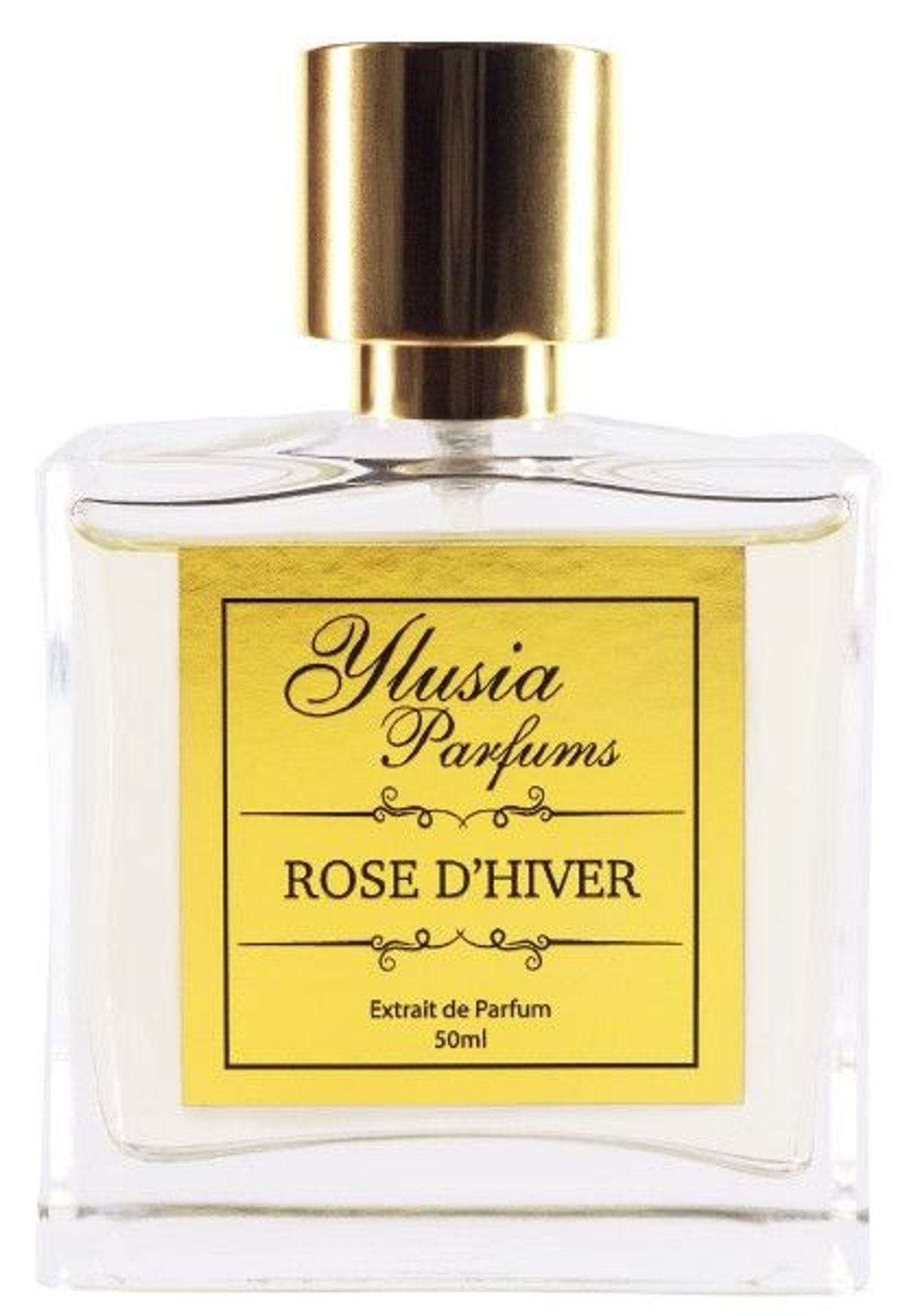 Rose d'Hiver
