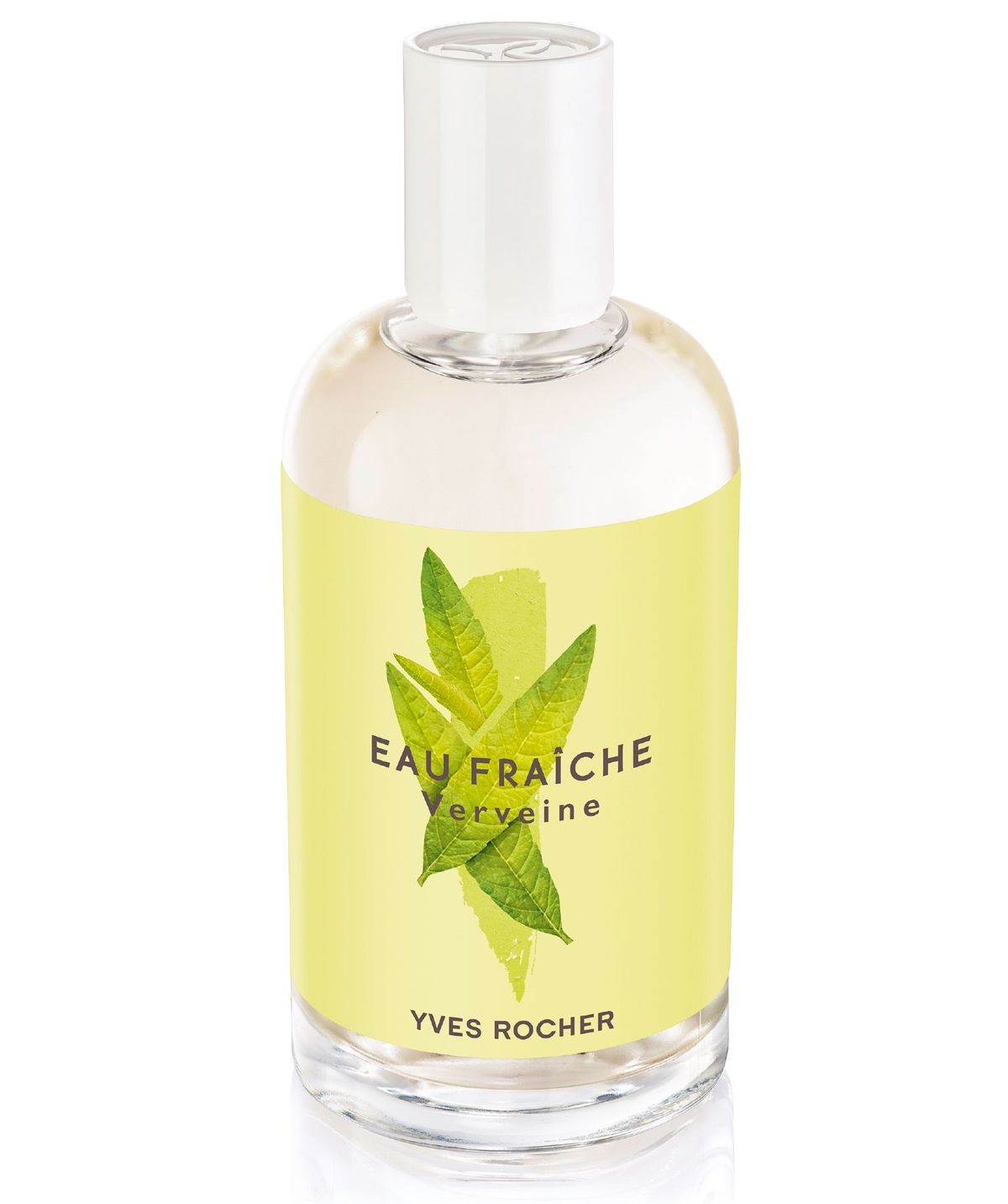 Lemon Verbena (Verveine)