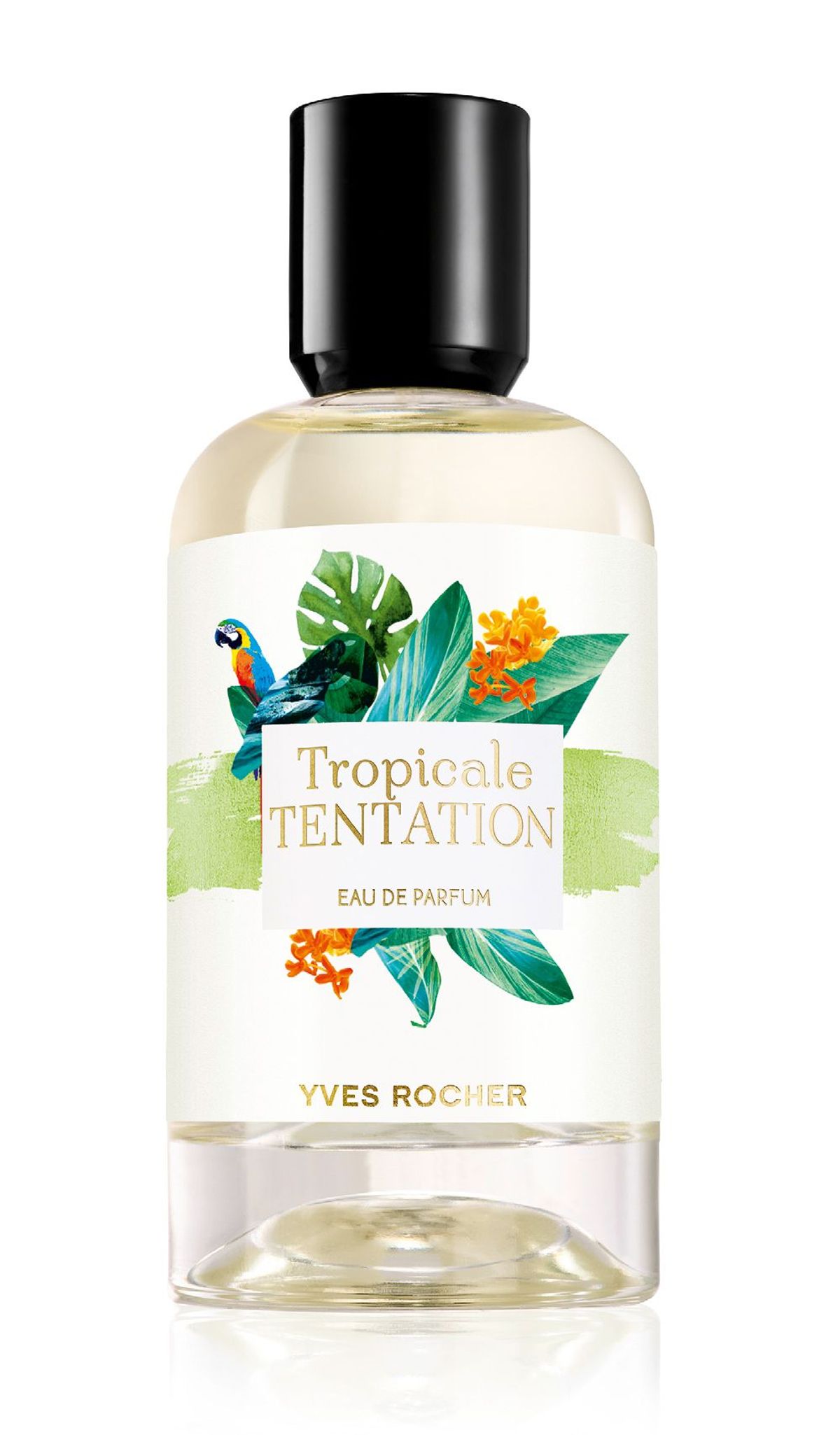 Tropicale Tentation