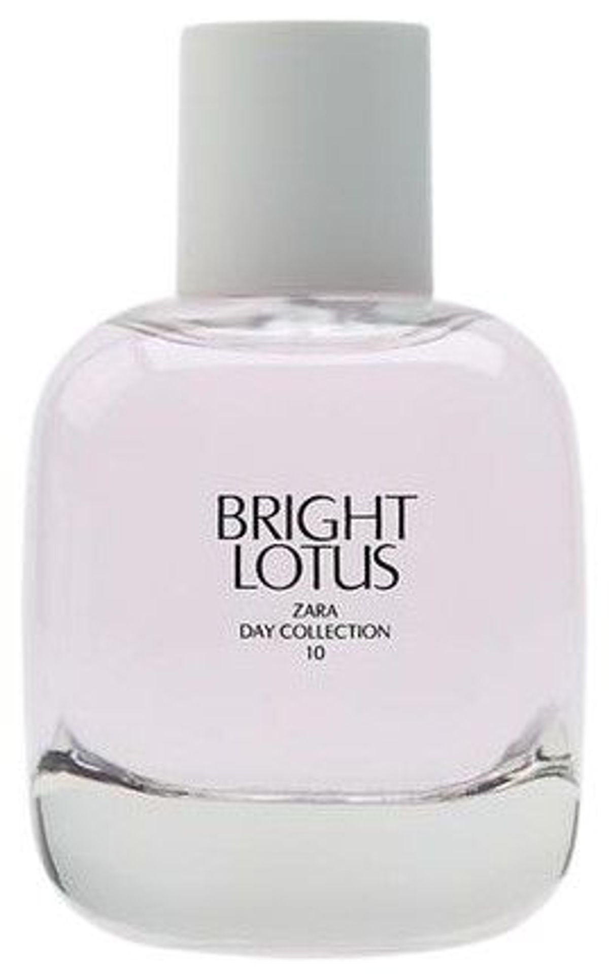 Bright Lotus