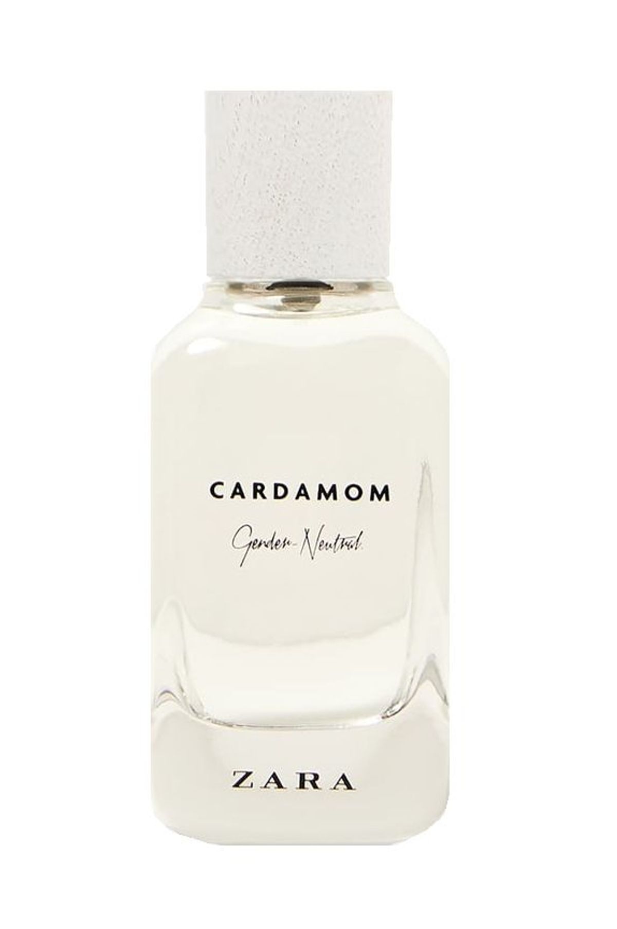 Cardamom - Gender Neutral