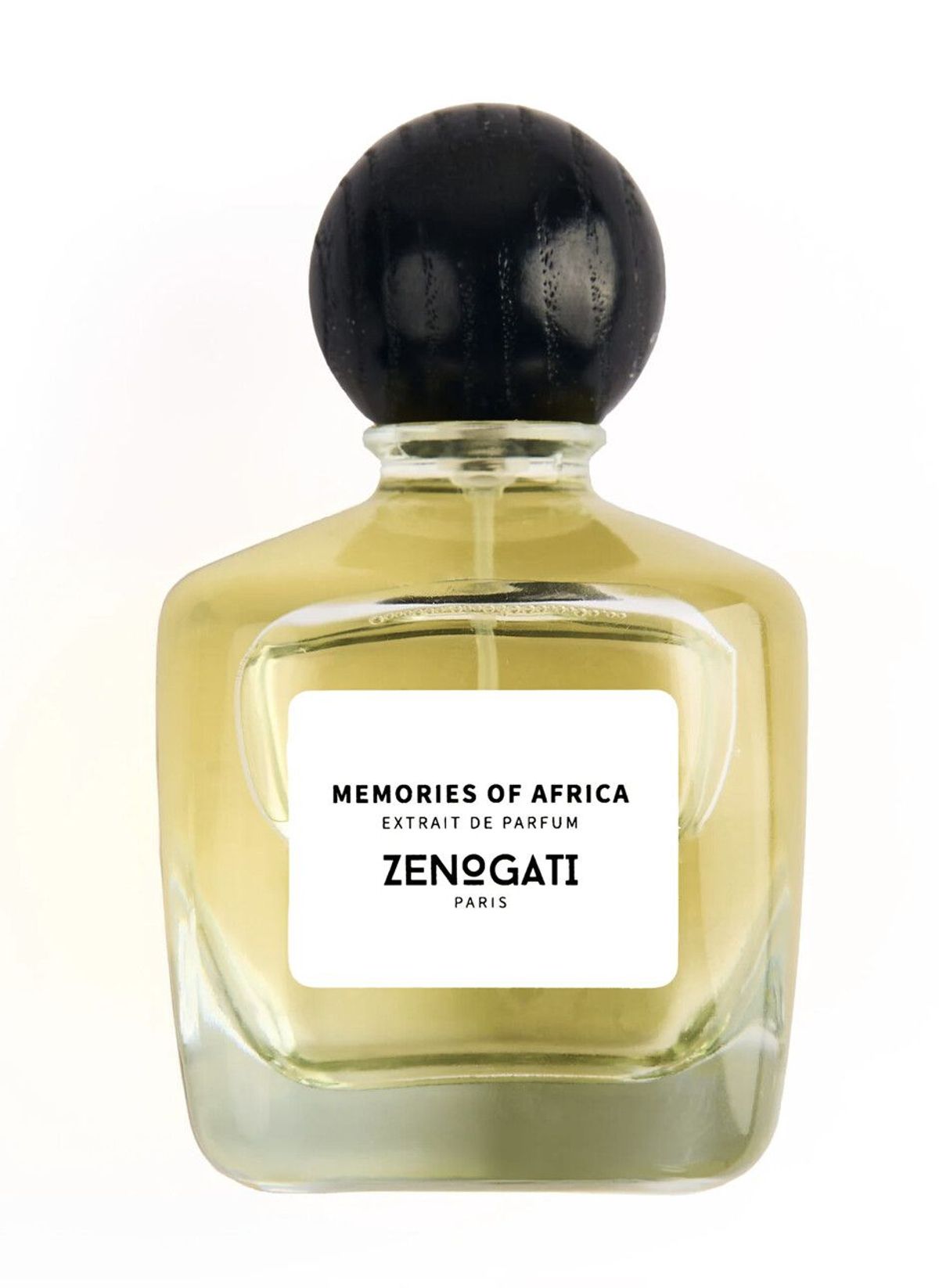 Memories of Africa