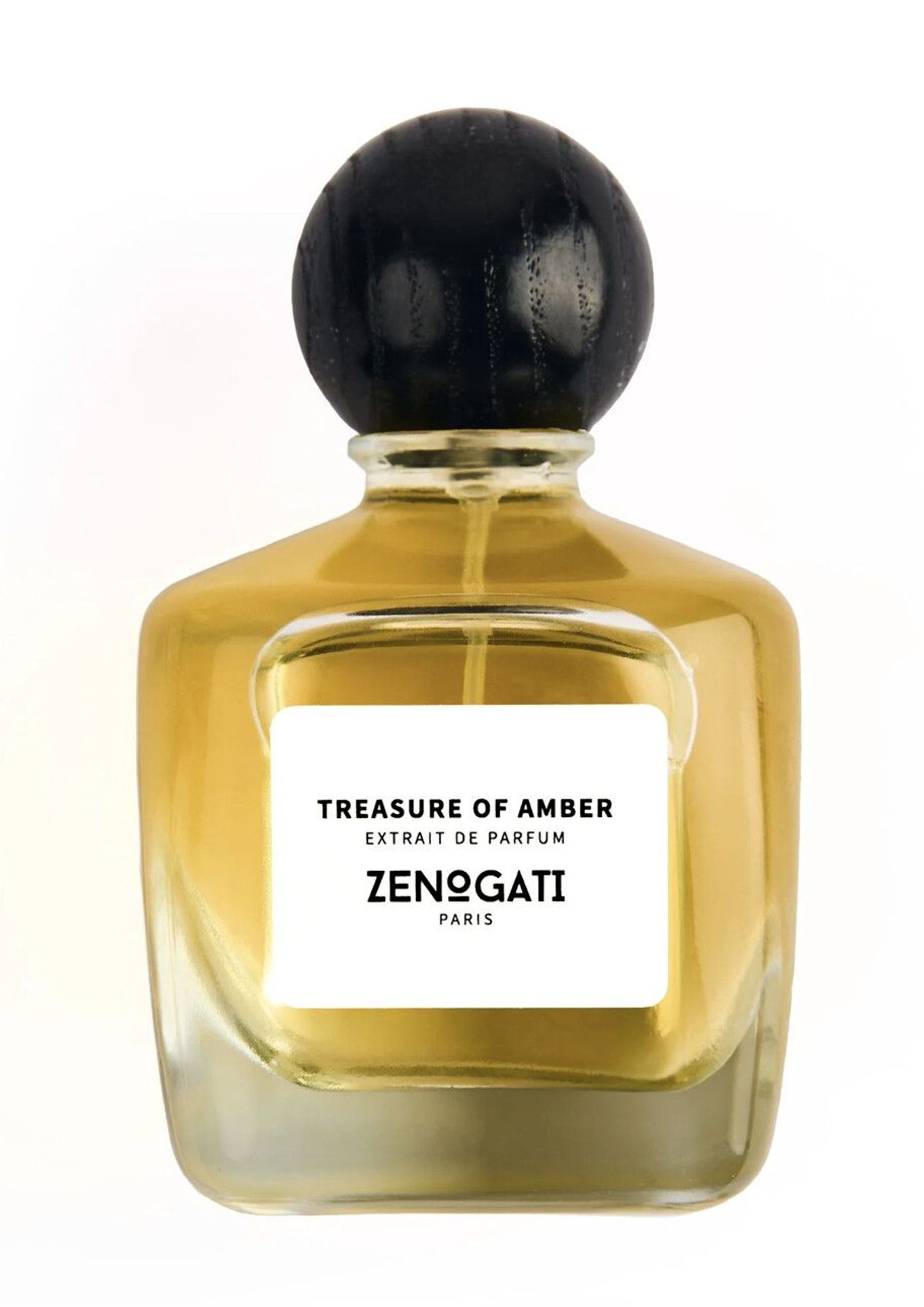 Treasure Of Amber
