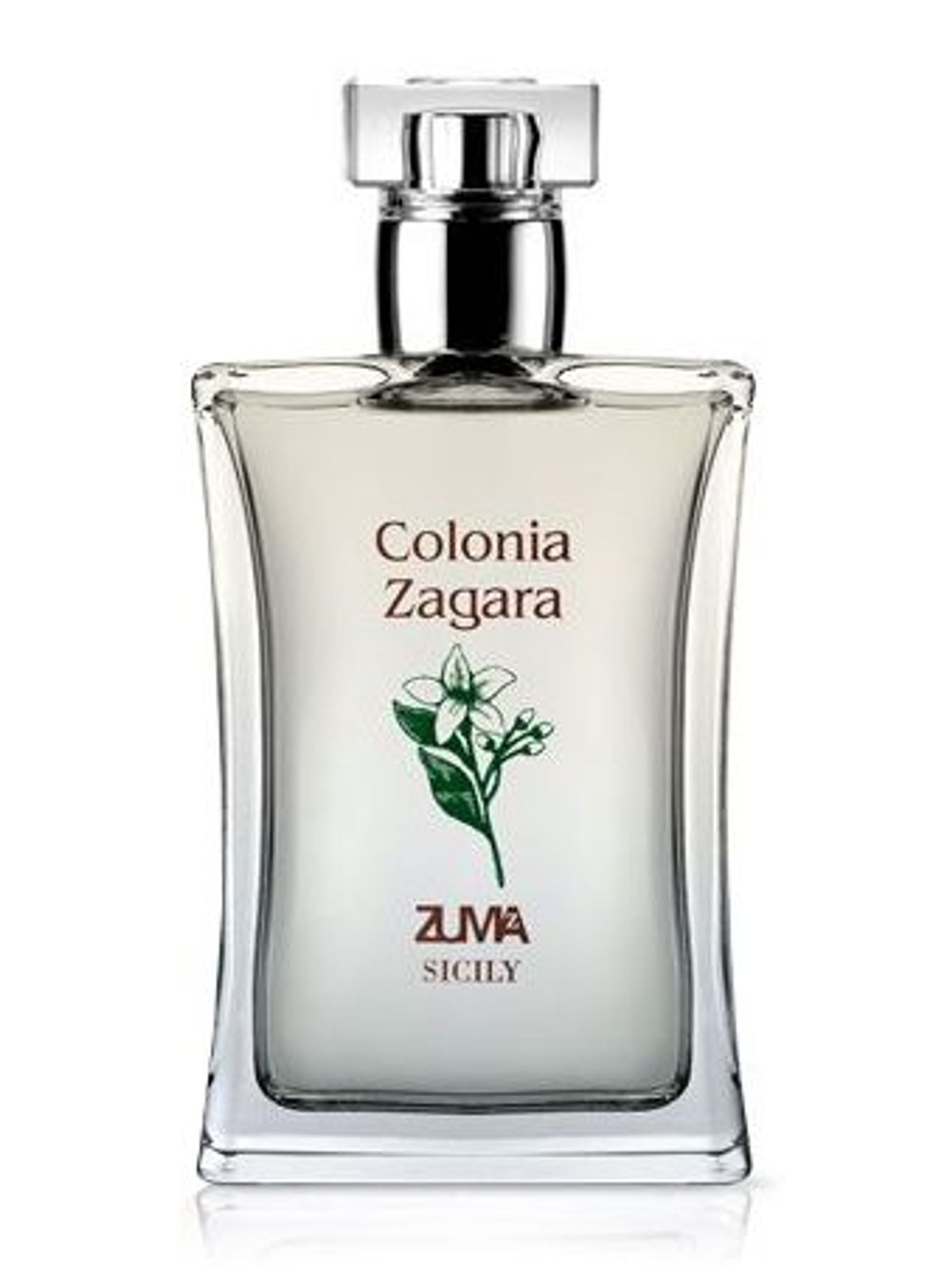 Zagara