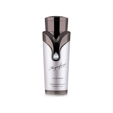 Magnificent Pour Homme