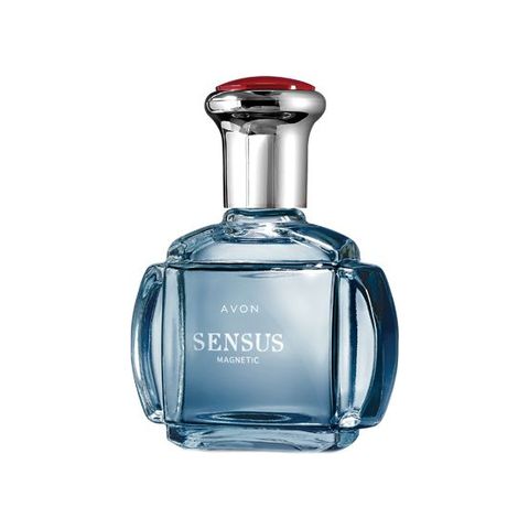 Sensus Magnetic