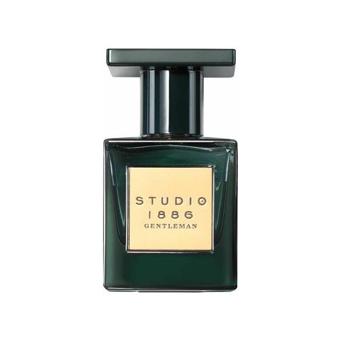 Studio 1886 Gentleman