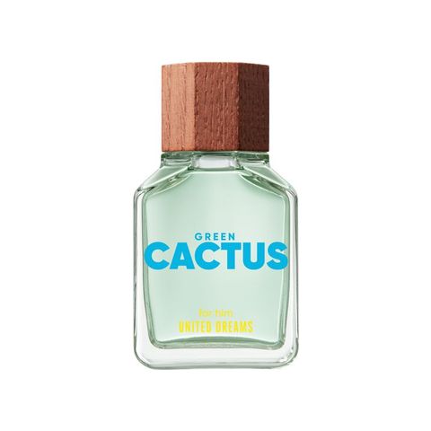 United Dreams Green Cactus For Him