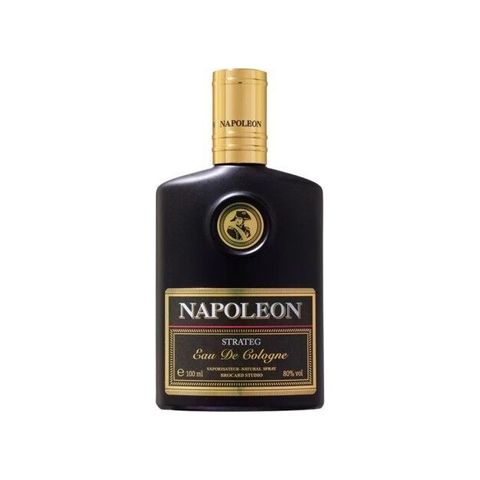 Napoleon Strateg