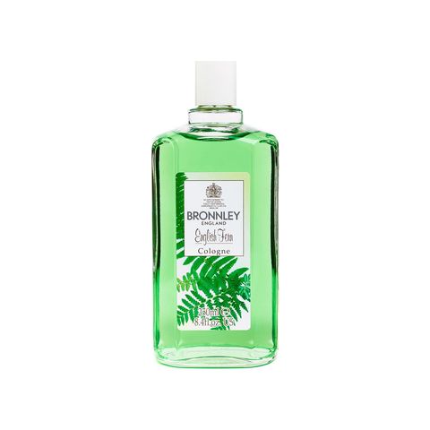 English Fern