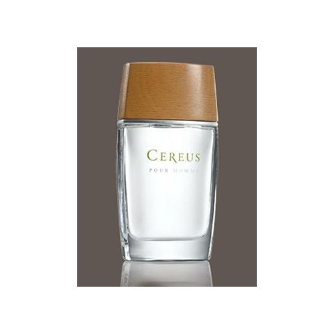 Cereus No.4