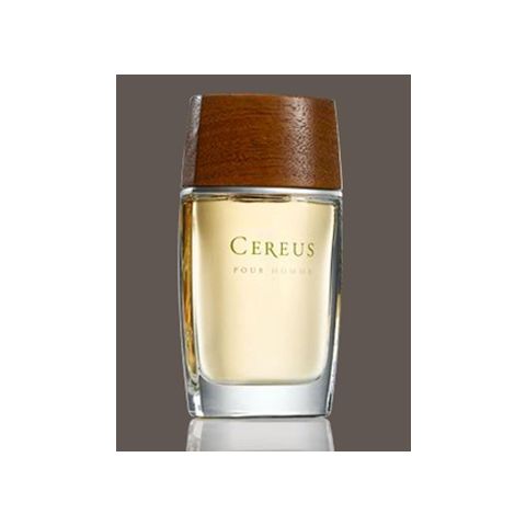Cereus No.7
