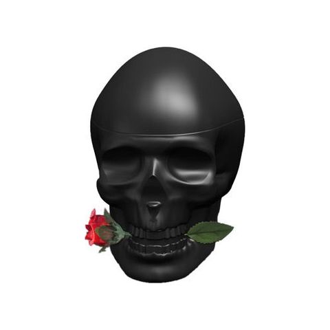 Ed Hardy Skulls & Roses for Him