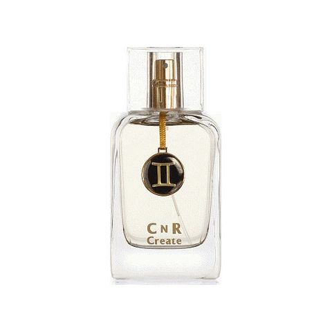 Gemini for Men