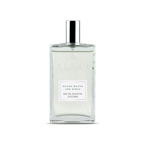 Silver Water & Birch