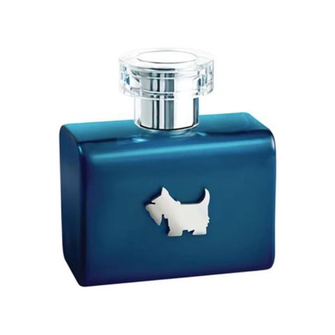 Terrier Blue