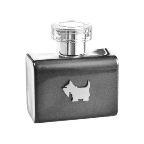 Terrier Grey