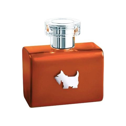 Terrier Orange