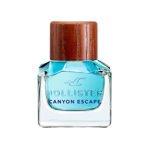 Hollister Canyon Escape Man