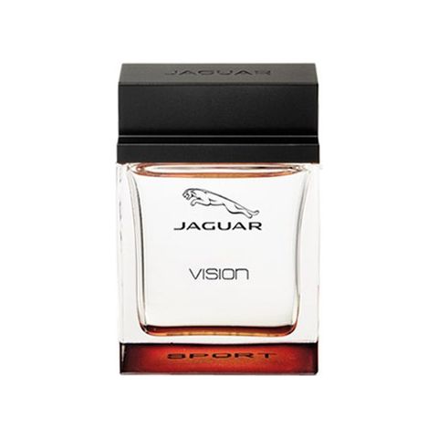 Jaguar Vision Sport