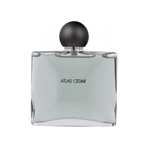 Collection Homme/Atlas Cedar