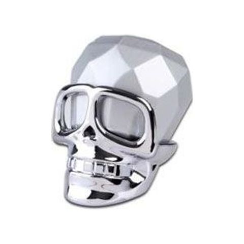 Captain Silver