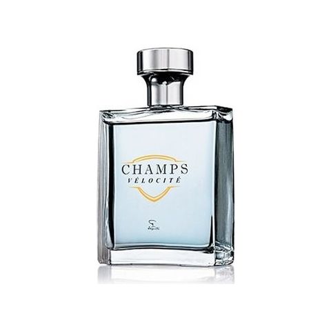 Champs Velocite