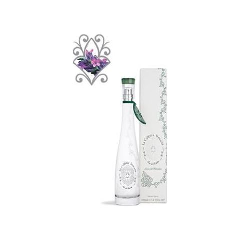 La Collina Toscana Belvedere Holm Oak