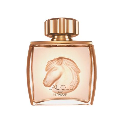 Lalique Pour Homme Equus