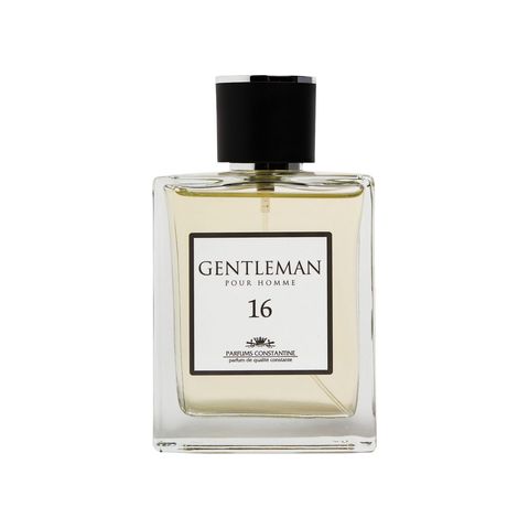 Gentleman N. 16