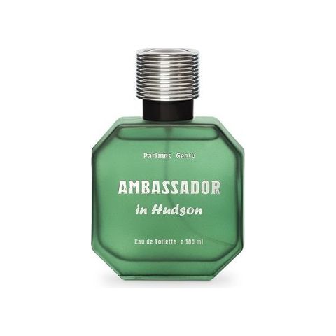 Ambassador in Hudson