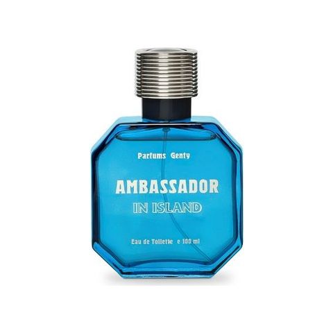 Ambassador in Island