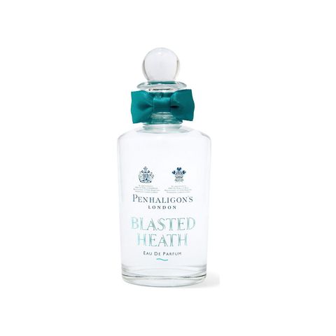 Blasted Heath
