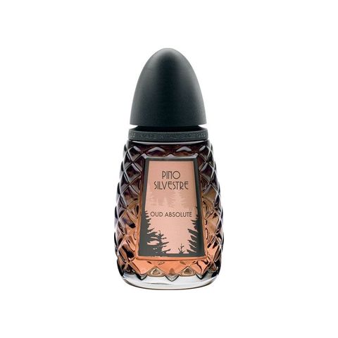 Oud Absolute
