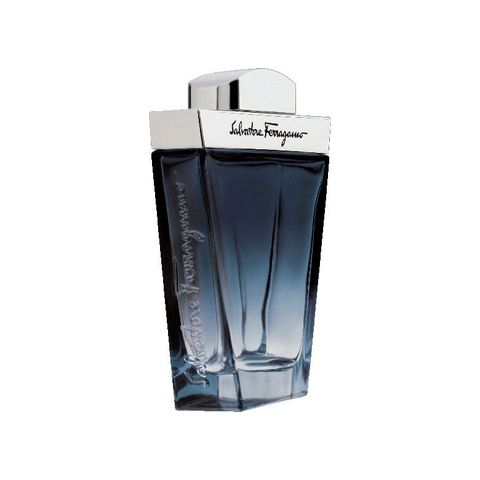 Salvatore Ferragamo Subtil Pour Homme